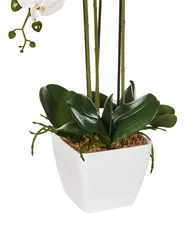 Kunstpflanze ORCHID 59 cm Weiß_947270