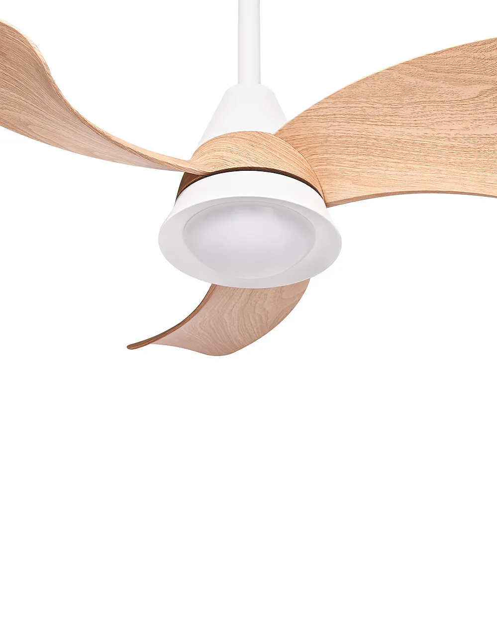 Plafondventilator met verlichting HAINES met afstandsbediening LED Wit_1133397