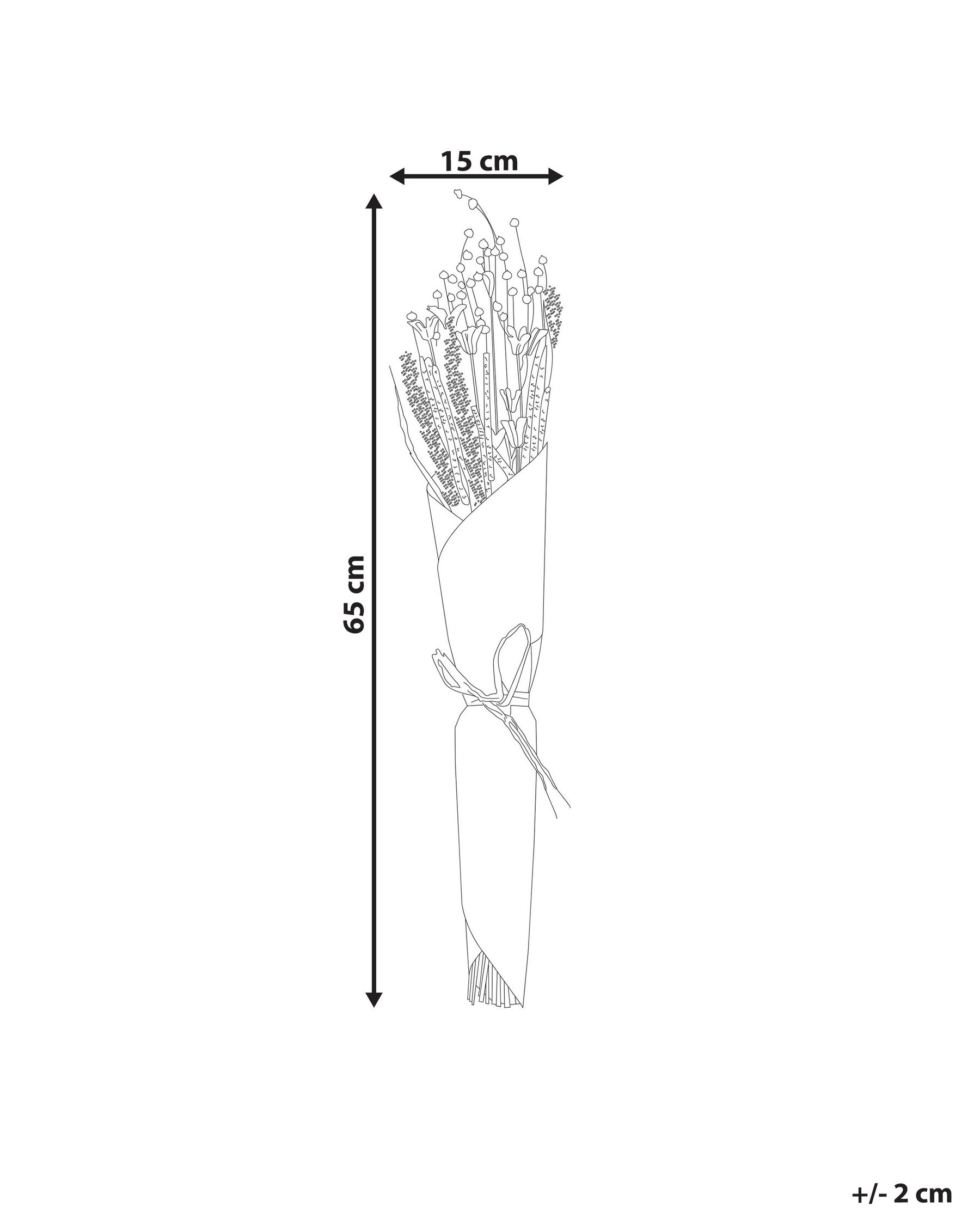 Trockenblumenstrauß PAMPELUNA 65 cm Naturfarben_835269