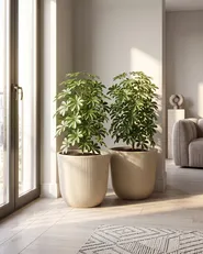 Set mit 2 Blumentöpfen DRABA 44 cm Beige_1095497