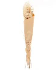 Trockenblumenstrauß BRUNETE 65 cm Naturfarben_835246