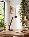 LED Desk Lamp CHAMAELEON with USB Port Metal Brass