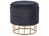 Pouf mit Stauraum ELGIN Samtstoff Schwarz