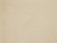 Ausziehbett Samtstoff TROYES 90 x 200 cm Beige_837083