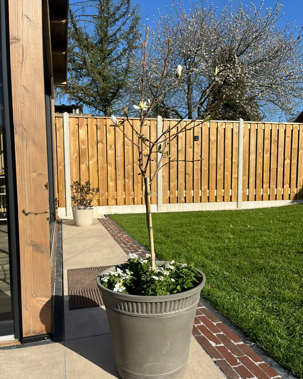 Plant Pot CISTUS 44 cm Grey_982697