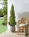 Kunstpflanze CEDAR TREE 153 cm Grün