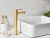 Hoge wastafelmengkraan COLHUE Messing Goud