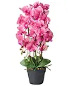 Kunstpflanze ORCHID 65 cm Rosa