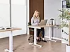 Electric Adjustable Standing Desk DESTINES 120 cm x 72 cm Light Brown/ White