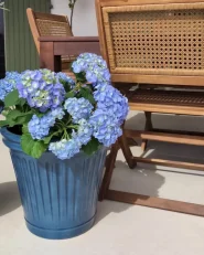 Blumenkübel MAIZE 43 cm Blau_998202
