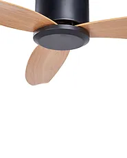 Ceiling Fan MALAD with Remote Black_861556