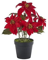 Artificial Plant CHRISTMAS FLOWER 61 cm Red_1174966