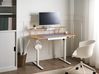 Electric Adjustable Standing Desk WILBANKS 120 cm 60 cm with USB Port Light Brown/ White