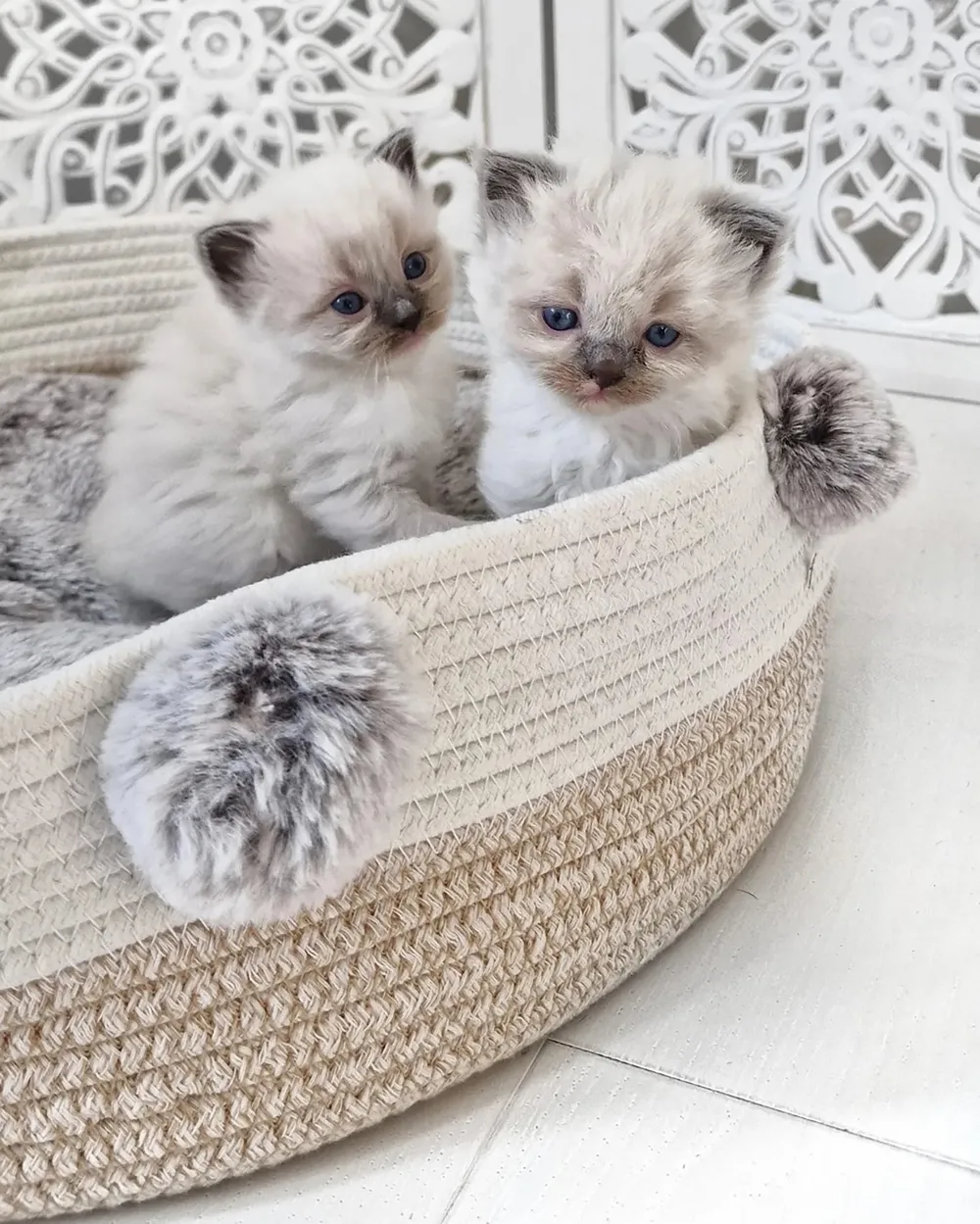 Pet Bed ORTACA Cotton Light Beige_873858