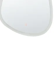LED-Badezimmer-Spiegel BETHUNE 58 cm 78 cm Silber_844403
