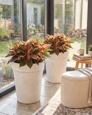 Set van 2 bloempotten TROLLIUS 41 cm Beige_1133008