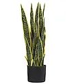 Kunstpflanze SNAKE PLANT 63 cm Grün