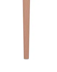 Esszimmerstuhl 2er Set BERECA Weiß_783796