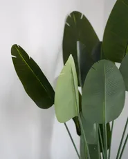 Kunstpflanze BANANA TREE 187 cm Grün_1047825