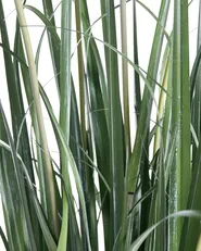 Kunstpflanze BULRUSH 135 cm Grün_1103919