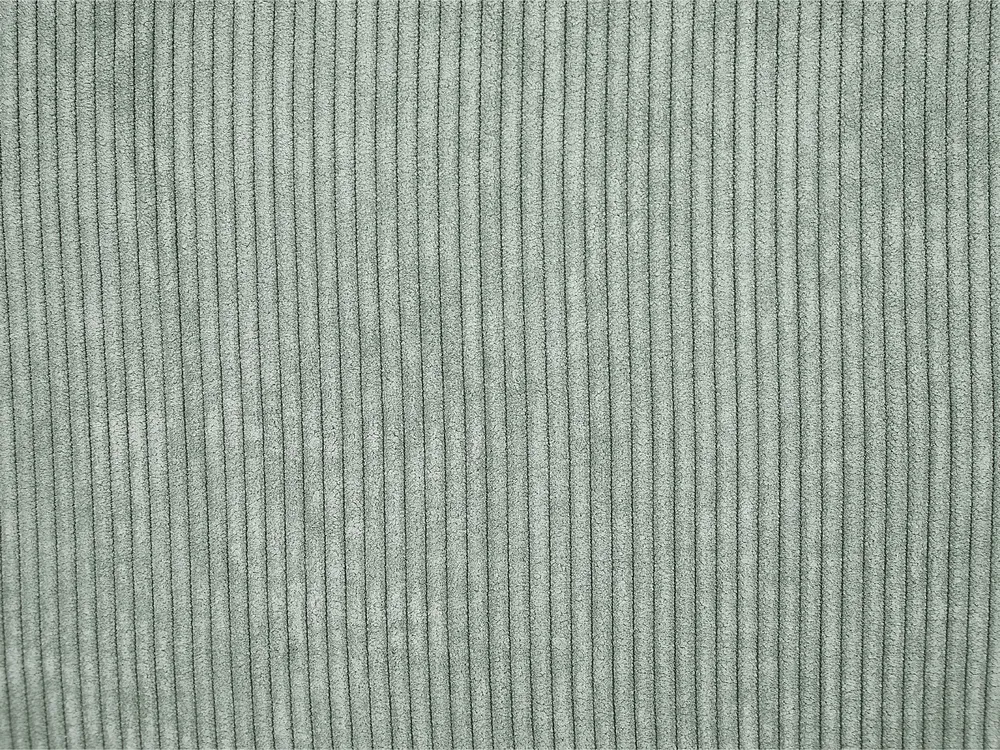 Set of 2 Decorative Cushions ZINNIA 47 x 27 cm Corduroy Light Green Solid_855303