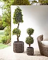 Set mit 2 Blumentöpfen BRODIEA 26/45 cm Polyrattan Hellbraun