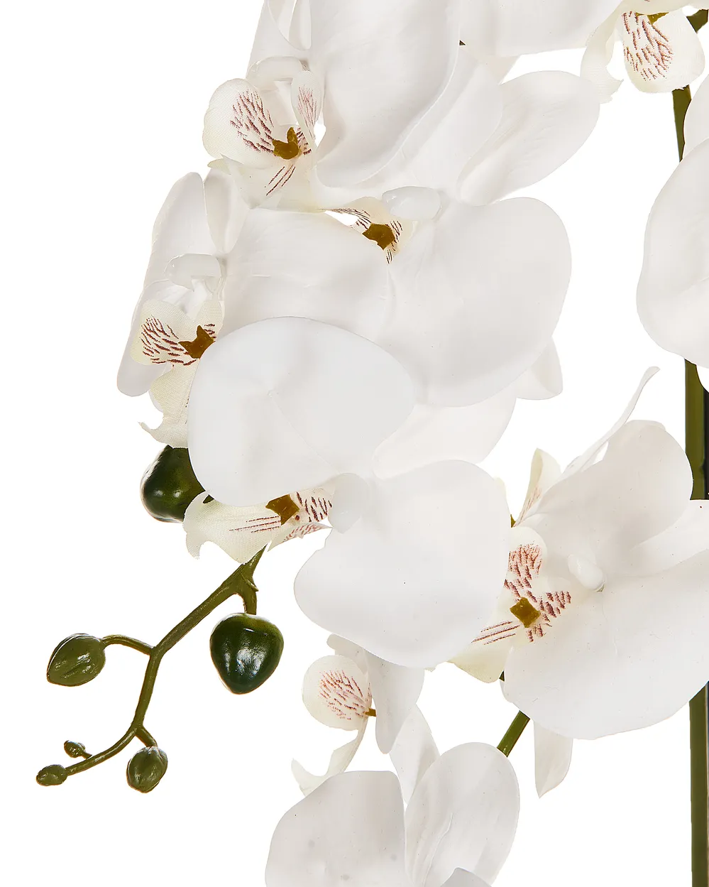 Kunstpflanze ORCHID 65 cm Wei - Beliani.de