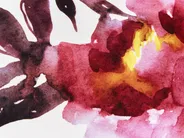 Gartenkissen 2er Set LANROSSO Blumenmuster 40 x 60 cm Rosa_881431