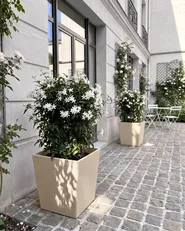 Set of 2 Plant Pots CYRODALIS 42 cm Beige_1133037