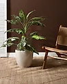 Blumenkübel KANNIA 36 cm Cremeweiß