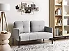 Sofa 2-Sitzer LAHTI Stoff Grau