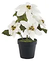 Artificial Plant CHRISTMAS FLOWER 61 cm White