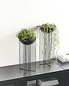 Blumentopf mit Beinen 2er Set FICARIA 22 cm Metall Schwarz