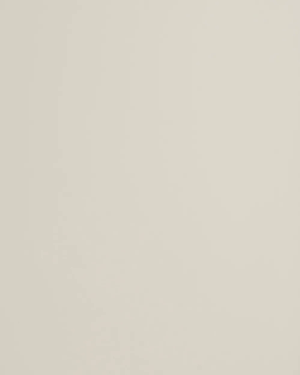 Sideboard mit 2 Türen SOLETTA Metall Hellbeige_1049208