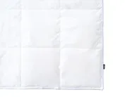 Bettdecke Entendaunen Leicht Warm KRIVAN 220 x 240 cm_1023417