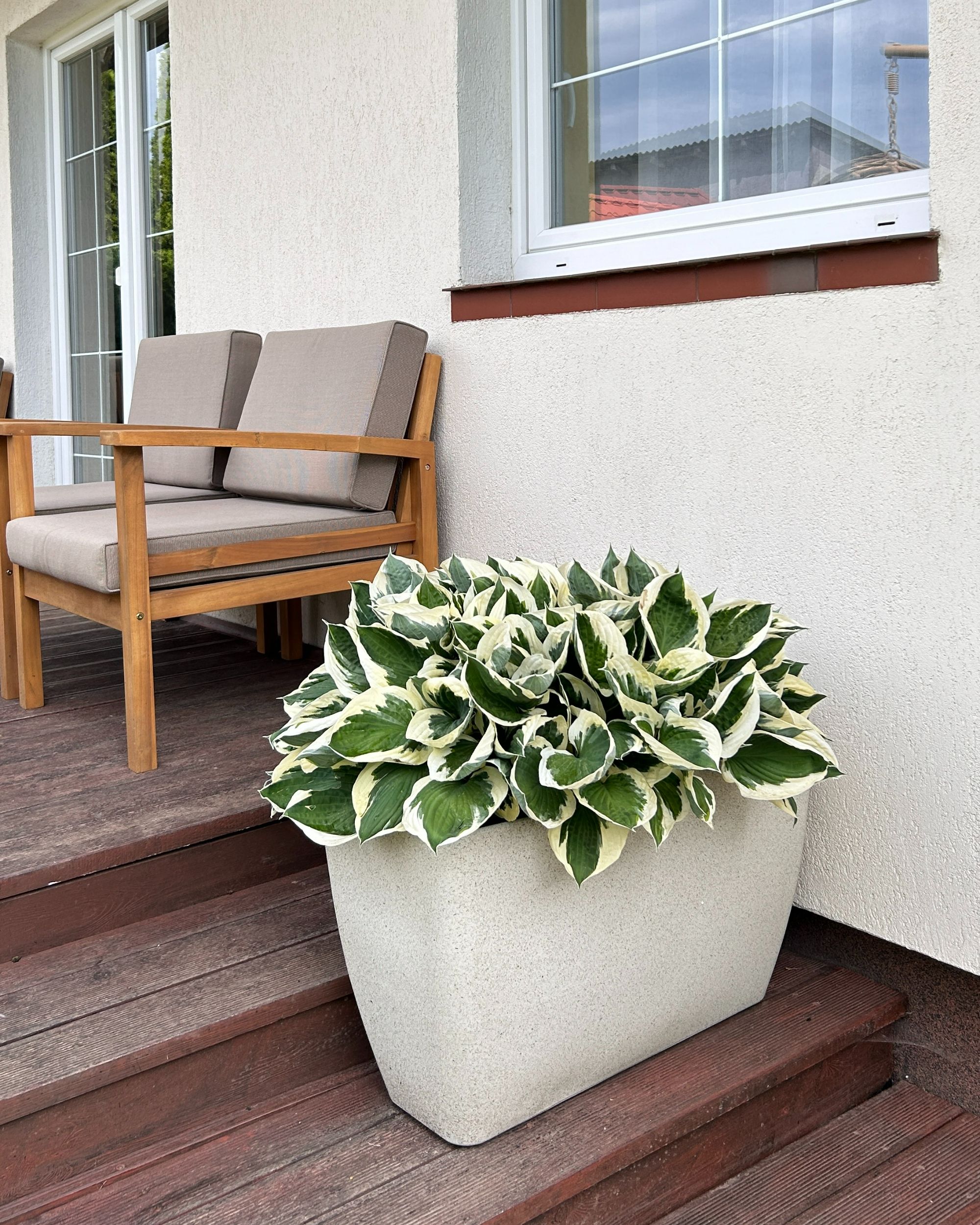 PracticDomus Set Mit 4 Quadratischen Blumentöpfen 'Wind' – 17 Cm, Mit Integriertem Untersetzer, Strukturiert, Nachhaltig (Taupe)