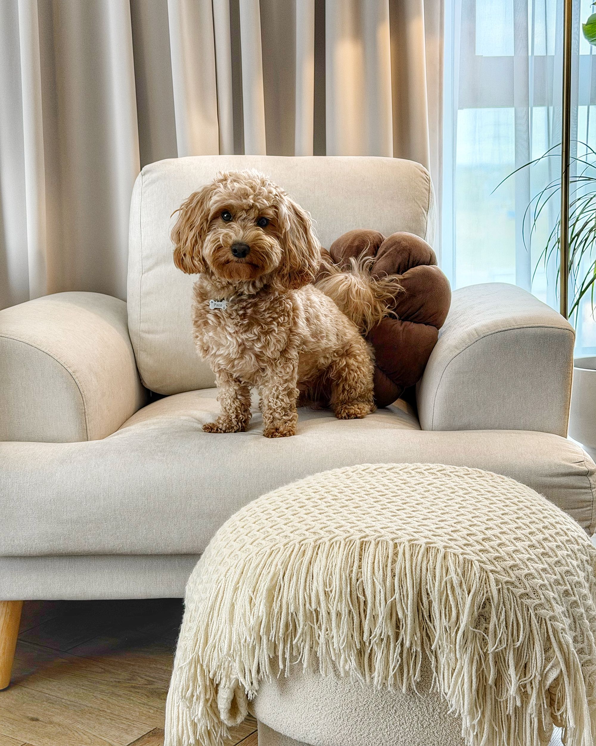 Armchair KILDAL Fabric Light Beige_1182714