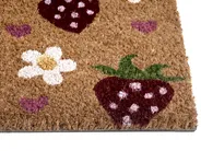 Doormat SHAININ Multicolour 50 x 80 cm Coir_1049678
