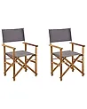 Gartenstuhl 2er Set CINE Akazienholz Grau