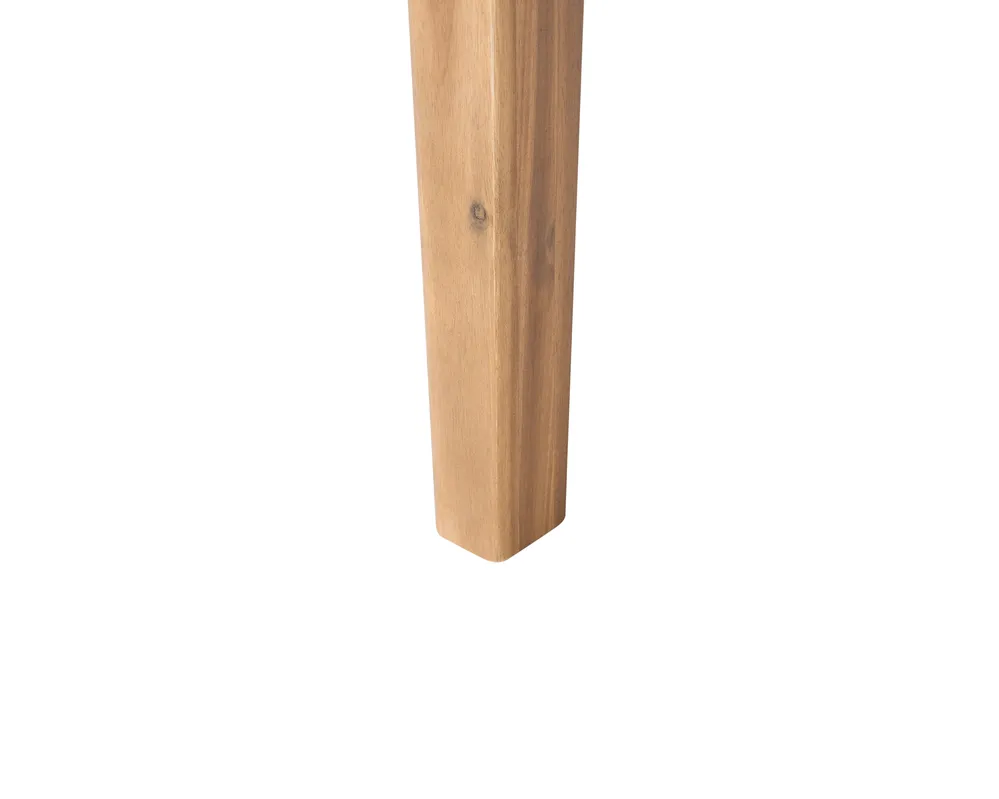 schädlinge bambus Fargesia rufa – bambus, zelený, stálezelený, v květináči o průměru 14 cm,  vysoký 35 cm