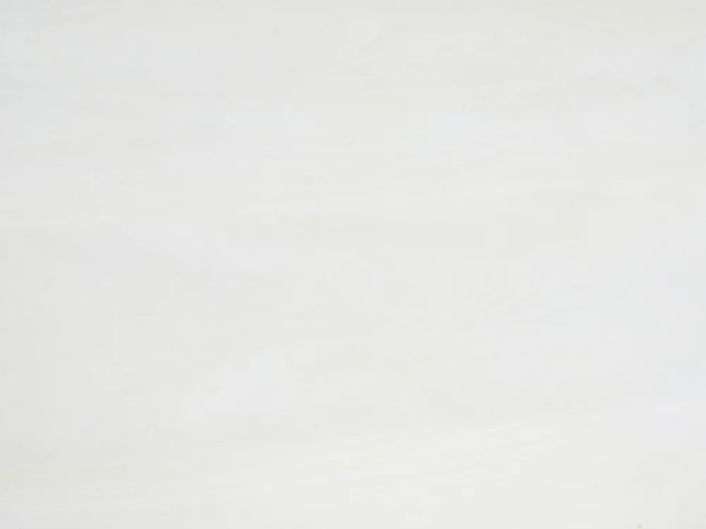 Dining Table MURTLE White 110 cm 110 cm Mango Wood_1047518