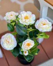 Kunstpflanze CAMELLIA 60 cm Grün_1076017