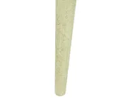 Set of 2 Side Tables BELIDHA Mango Wood Light Green_857058