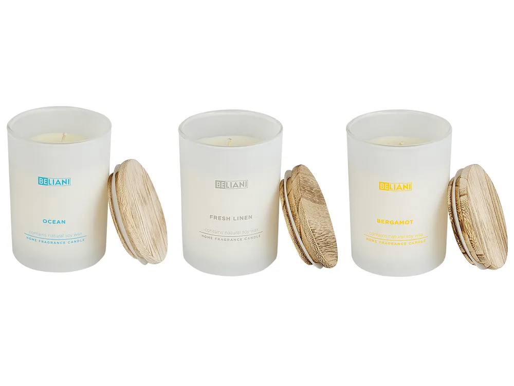 Duftkerzen 3er Set SIMPLICITY Sojawachs Fruchtige Note Frische Note