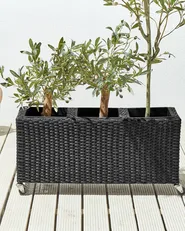 Blumenkübel BELLIS 82 cm Polyrattan Schwarz_914413