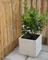 Plant Pot PAROS 40 cm White_1085667
