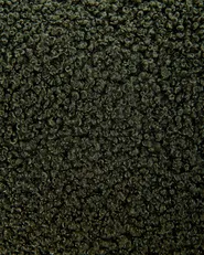 Armchair OTSBY II with Cushion Boucle Dark Green_942074