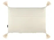Set of 2 Decorative Cushions CERINTHE 40 x 60 cm Cotton Light Beige Chevron Pattern_835174