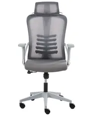 Bürostuhl ERGONOX Grau_1065540