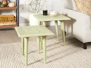 Set of 2 Side Tables BELIDHA Mango Wood Light Green_857049
